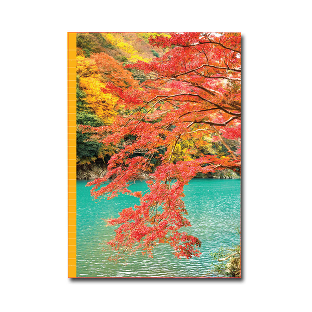 PaperClub 53371 A4 Designer Register Notebook | SoftBound Notebooks Size A4 Large 164 Pages. Superior Notebook For Students | School Supplies for Both Official and Personal use | Pack Of 12 Just in 1080Rs