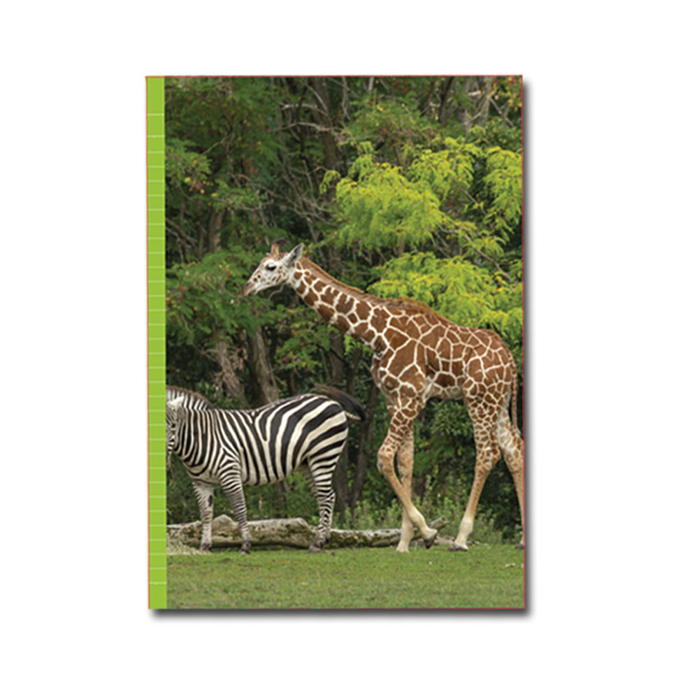 PaperClub 53370 A4 Designer Register Notebook | SoftBound Notebooks Size A4 Large 132 Pages. Superior Notebook For Students | School Supplies for Both Official and Personal use | Pack Of 12 Just in 840Rs