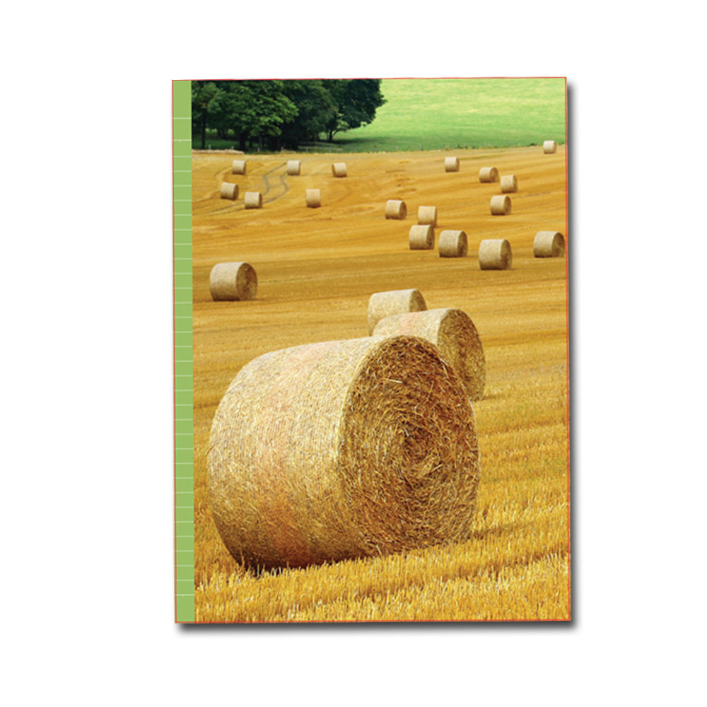 PaperClub 53370 A4 Designer Register Notebook | SoftBound Notebooks Size A4 Large 132 Pages. Superior Notebook For Students | School Supplies for Both Official and Personal use | Pack Of 12 Just in 840Rs